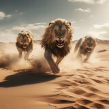 Un groupe de trois lions féroces et agressifs courant dans un désert de sable en plein soleil.