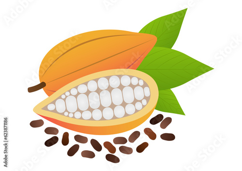 Fresh Cocoa Fruits and Beans, Cacao Beans, Cocoa Pod. Vector Illustration Isolated on White Background.