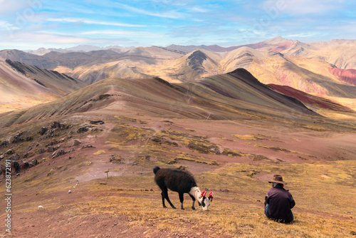 Alpaca at Palccoyo rainbow mountains in Peru photo
