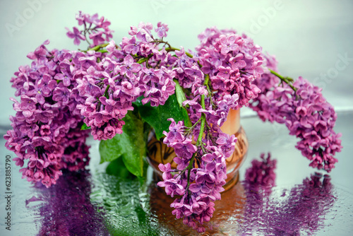 branches of blooming lilac in a vase, lilac flowers with dew drops, lilac