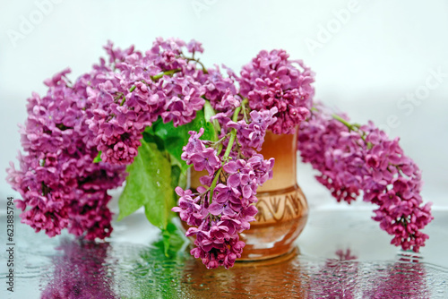 branches of blooming lilac in a vase, lilac flowers with dew drops, lilac