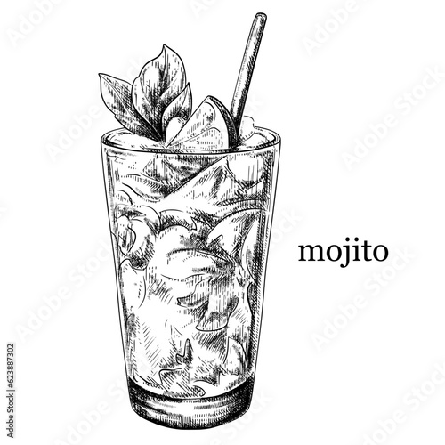 Mojito cocktail with ice and lime vintage vector sketch illustration.