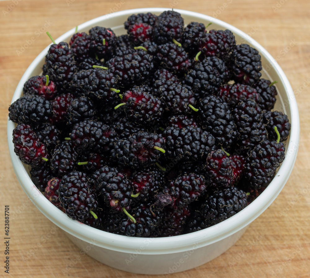 mulberries in a bowl mulberries in a bowl