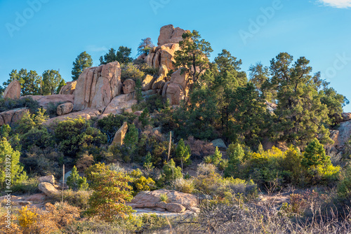 Pine Trees on Rocky Summit