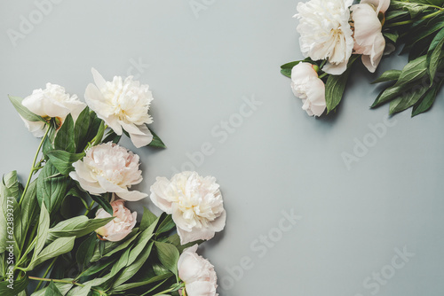 Fototapeta Naklejka Na Ścianę i Meble -  Beautiful white peony flowers on a grey background with copy space for your text top view and flat lay style