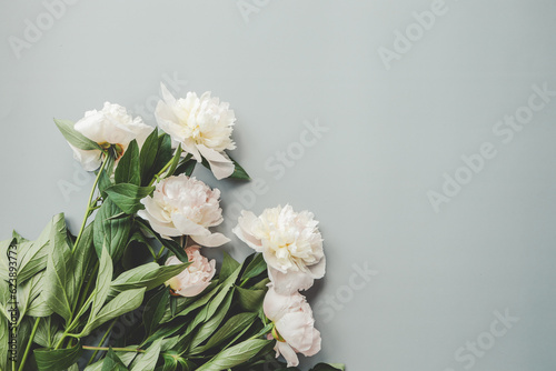 Fototapeta Naklejka Na Ścianę i Meble -  Beautiful white peony flowers on a grey background with copy space for your text top view and flat lay style