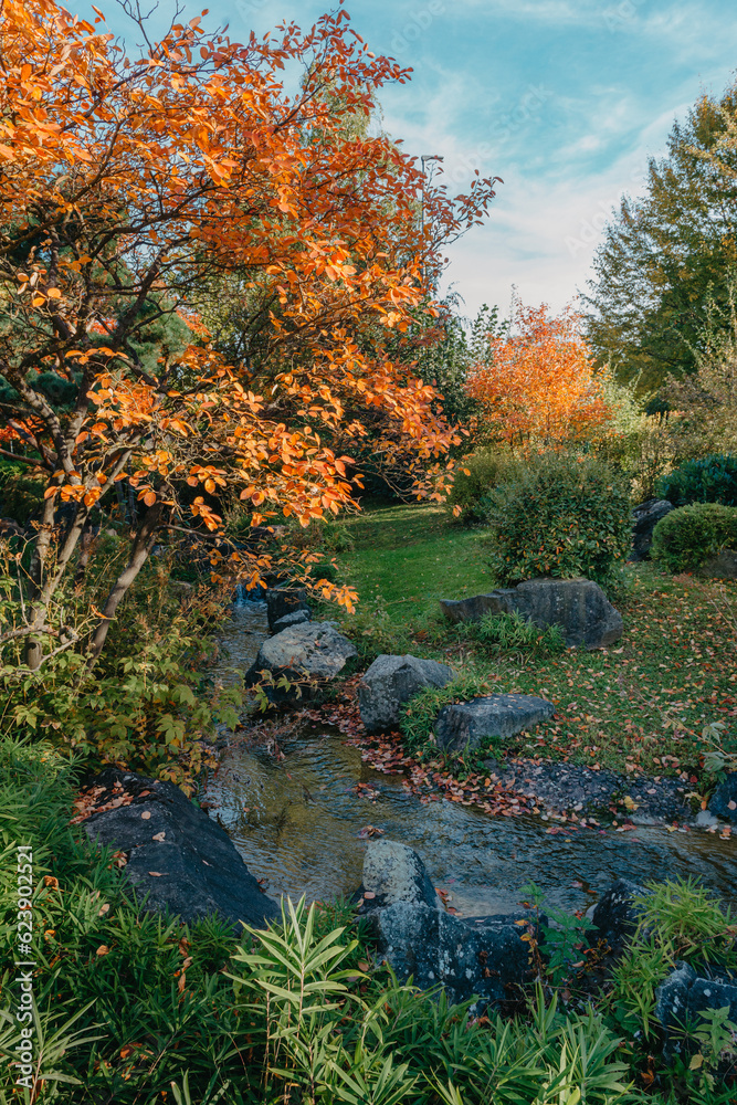 Autumn creek woodland with sunny yellow trees foliage rocks in forest mountain. Idyllic travel hiking landscape, beautiful seasonal autumn nature. Amazing dream scenic colorful outdoor inspire nature