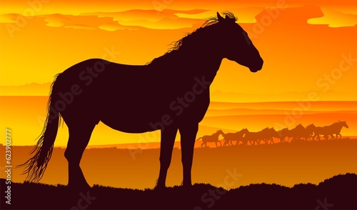 silueta de cabajllo, caballo, paisaje, atardecer, vectores, galope, montaña, lienzo, colinas, horizonte © fergomez