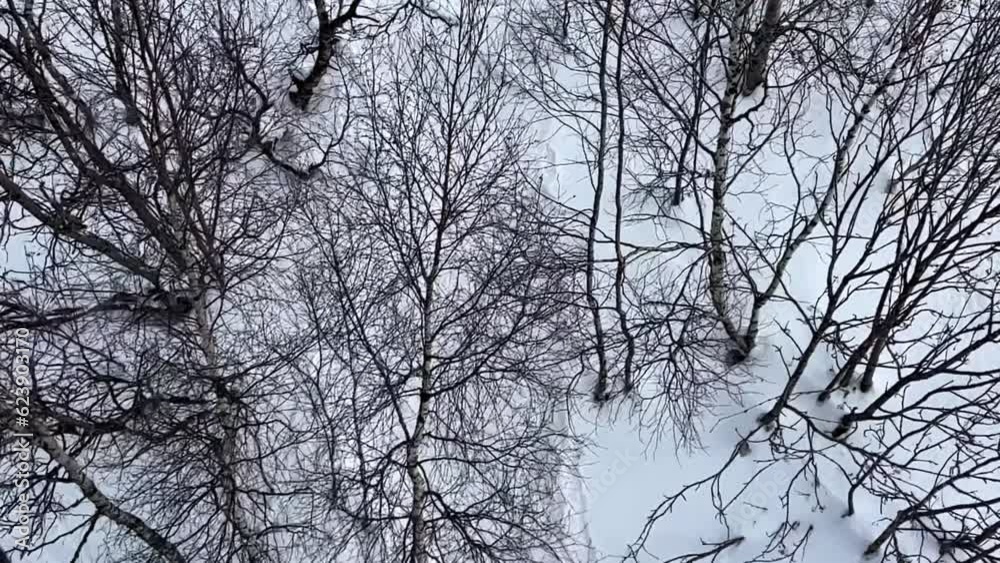 SLOW aerial beautiful snowy forest, from above, top view SLOW aerial beautiful snowy forest, from above, top view