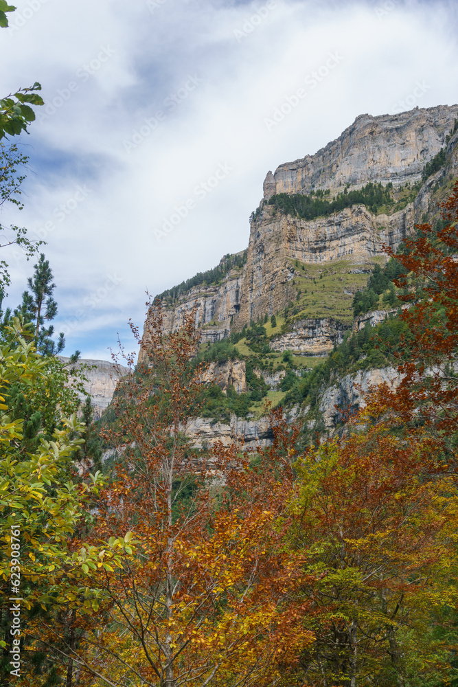Ordesa valley between high mountains covered with trees with warm autumn colors, Nationalpark Ordesa y Monte Perdido, Torla, Huesca, Aragon, Spain