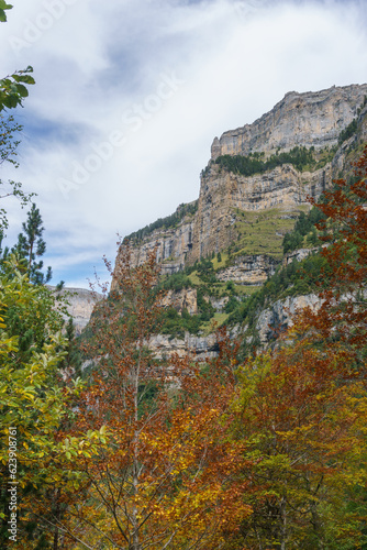 Ordesa valley between high mountains covered with trees with warm autumn colors  Nationalpark Ordesa y Monte Perdido  Torla  Huesca  Aragon  Spain