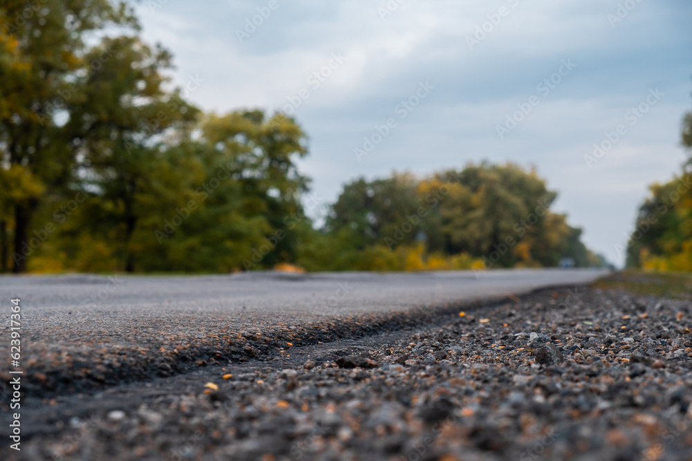 road landscape view from the roadside. asphalt road among trees and nature