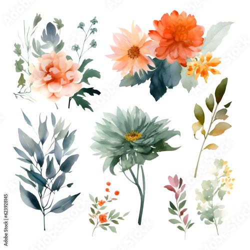 Watercolor flowers set. Hand painted vector illustration. Isolated on white background.