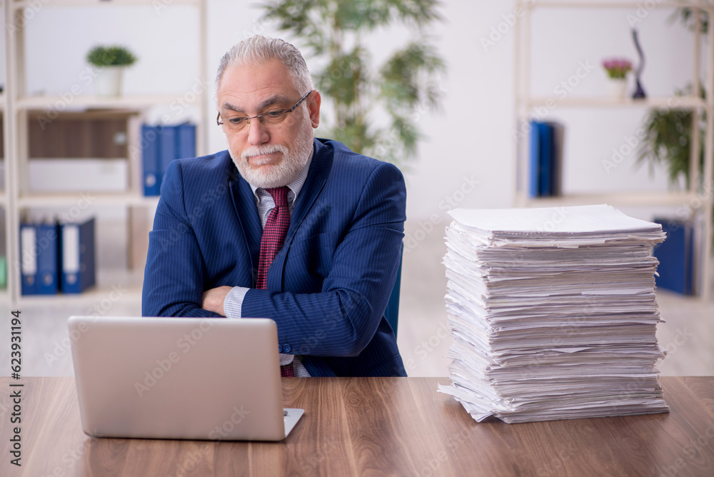 Old male employee working in the office Old male employee working in the office