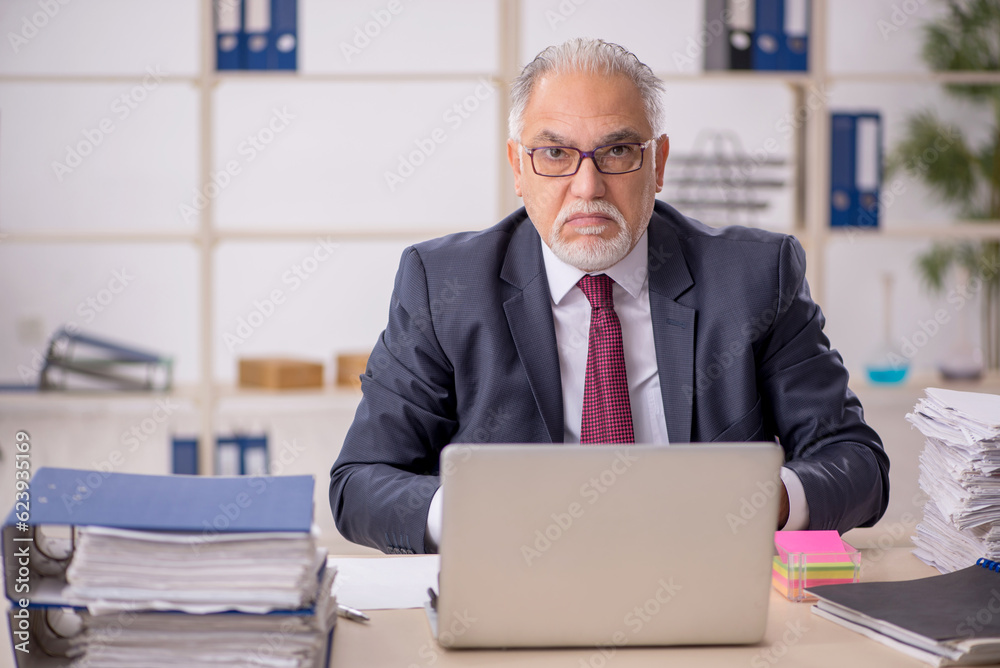 Old male boss working in the office Old male boss working in the office