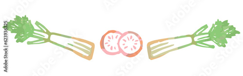 野菜のイラストを使った仕切り・飾り。水彩風、ベクター素材。