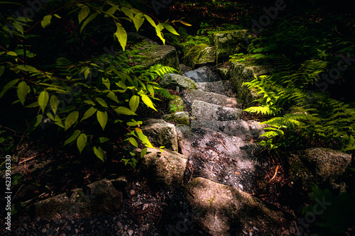 Wallpaper Mural Stairs Down Trail - Glendale Falls located in Middlefield, MA, USA Torontodigital.ca