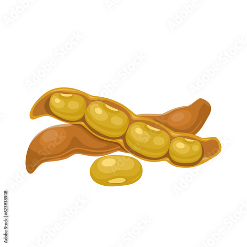 Vector illustration, Velvet bean or Mucuna pruriens, isolated on white background. photo