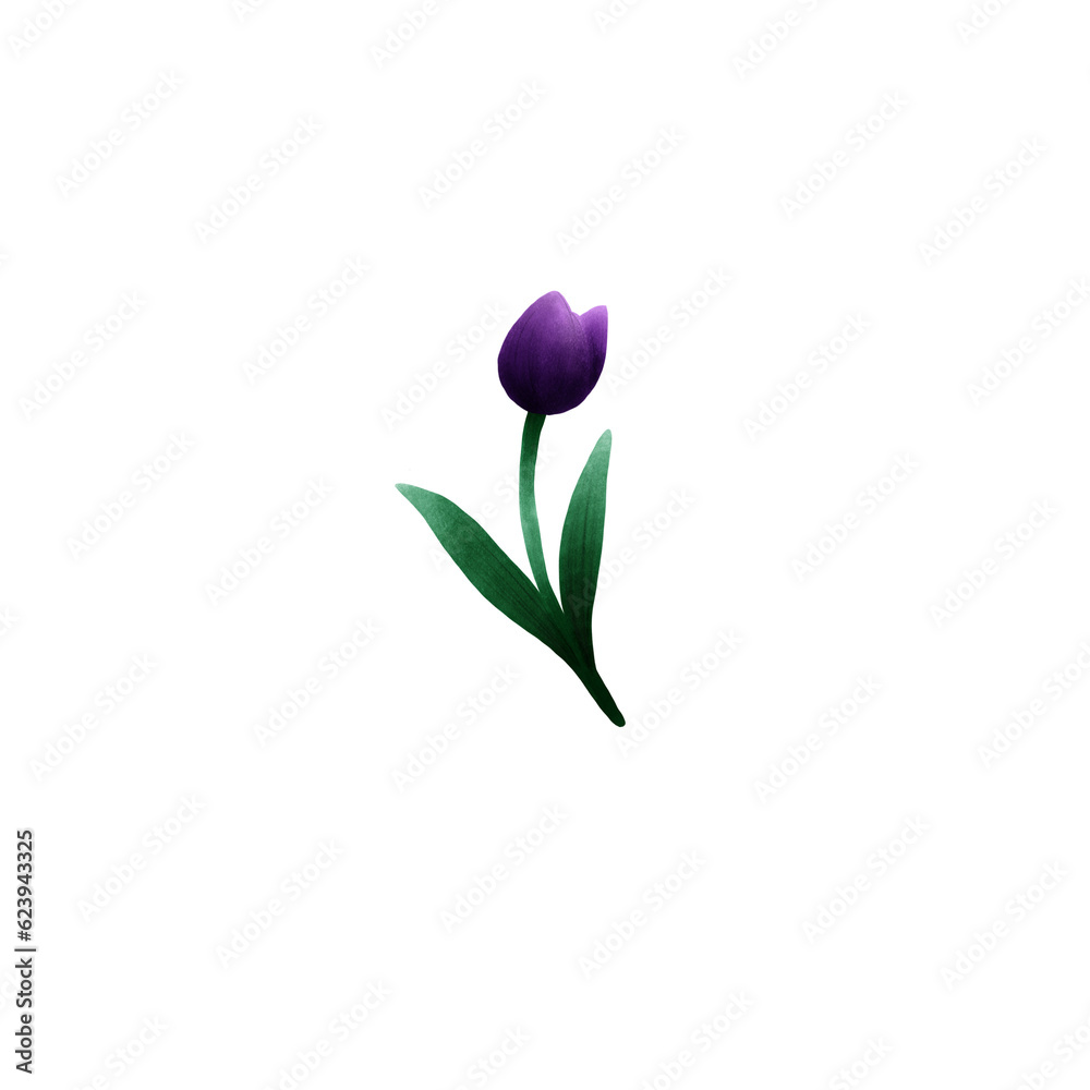 bouquet of purple tulips bouquet of purple tulips