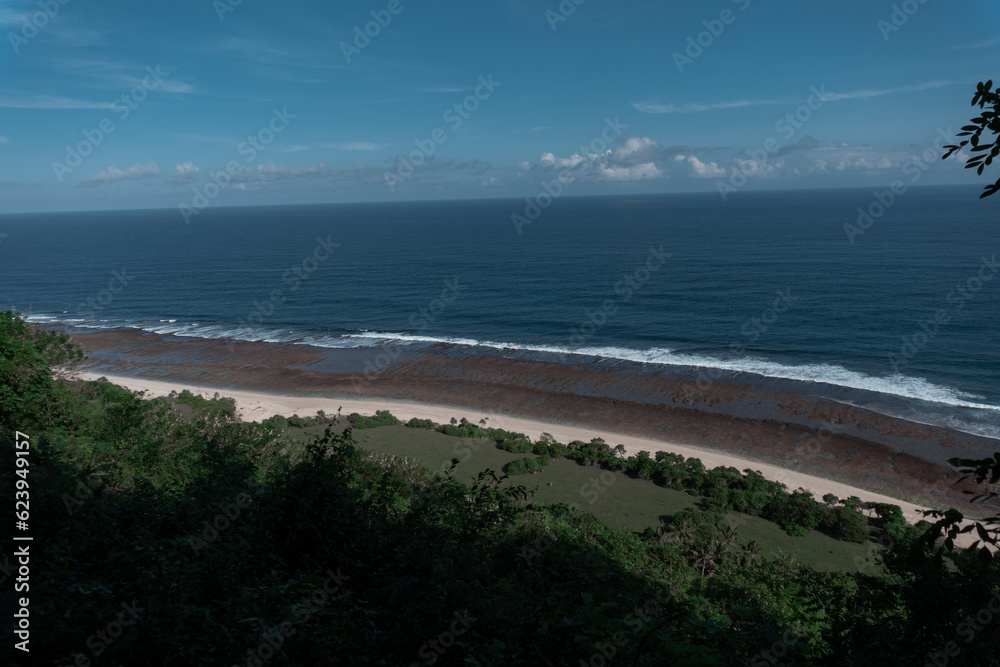 Low tide, view from afar. Beach, rainforest and ocean