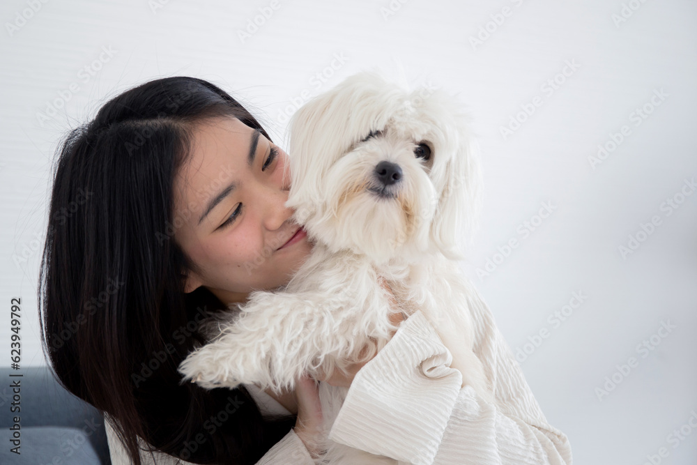 Young asian woman carrying and kiss with fluffy dog shih tzu with love in living room at home, friends pet with companion, woman playful and hug with animal for relax, female and friendly of puppy. Young asian woman carrying and kiss with fluffy dog shih tzu with love in living room at home, friends pet with companion, woman playful and hug with animal for relax, female and friendly of puppy.