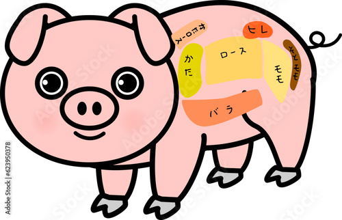 豚の部位のイラスト