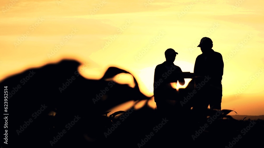 silhouette two farmers work tablet sunset, farming teamwork group people contract handshake agreement sunset corn wheat, inspecting landscape collaboration shaking farmers computer agronomists hands