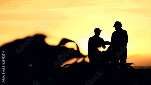 silhouette two farmers work tablet sunset, farming teamwork group people contract handshake agreement sunset corn wheat, inspecting landscape collaboration shaking farmers computer agronomists hands