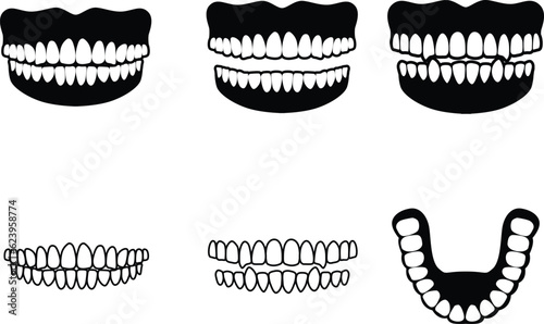 Set of teeth and gum clipart