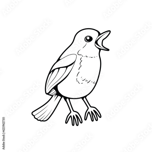 Robin Bird Black and White Vector Line Art