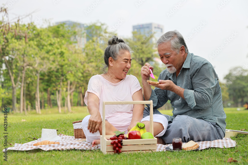 Happy asian senior man and woman sitting on blanket and having fun on picnic together in garden outdoor. Lover couple using computer and writing at the park. Happiness marriage lifestyle concept. Happy asian senior man and woman sitting on blanket and having fun on picnic together in garden outdoor. Lover couple using computer and writing at the park. Happiness marriage lifestyle concept.