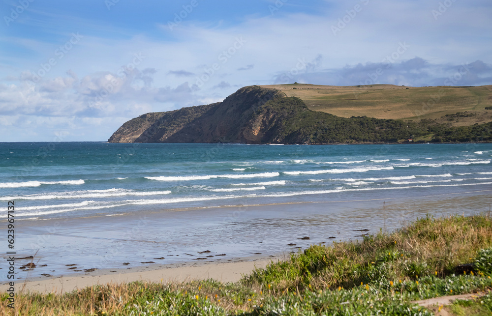 Beautiful ocean landscape, coastline with green foreground,  waves and big hill on a background