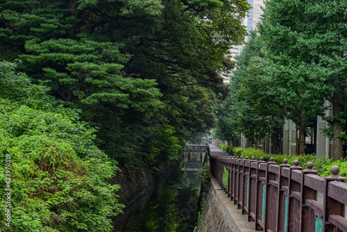 One of the external channels that limit the Hamarikyu Gardens  which is located in the Ch     neighborhood in Tokyo