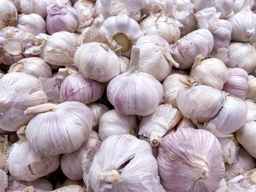 The large amounts of garlic spread out were perfect and beautiful. A variety of shapes suitable as a background.