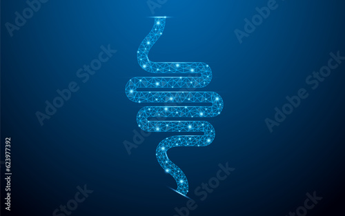 Human small intestine digestive for stomach gastroparesis with low poly wireframe with abstract mesh line and point. Polygonal wireframe and low poly vector illustration on dark blue background. photo