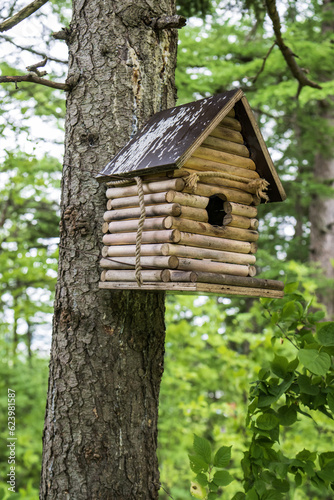 Birdhouse on a tree in the forest