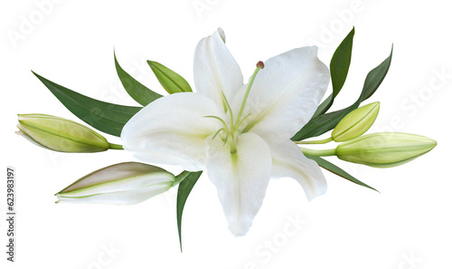 Flower white lily isolated on transparent background © nunawwoofy