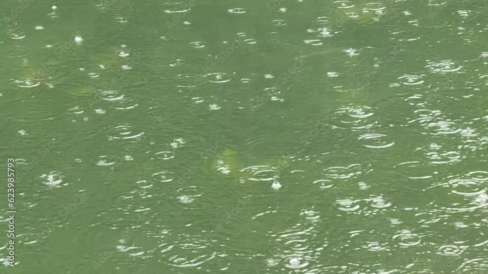 raindrops on river surface with bubbles and green water ripples texture abstract pattern 4k footage with sound raindrops on river surface with bubbles and green water ripples texture abstract pattern 4k footage with sound