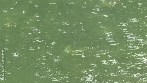 raindrops on river surface with bubbles and green water ripples texture abstract pattern 4k footage with sound photo