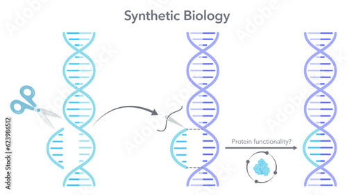 Gene editing double helix DNA concept vector illustration graphic