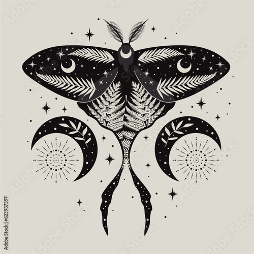 Vector illustration of moon moth. For print for T-shirts and bags, decor element. Mystical and magical, astrology illustration