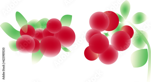 Vector ripe cranberry bunch with green leaves - isolated. Autumn theme. Ripe red berries of cranberry branch.