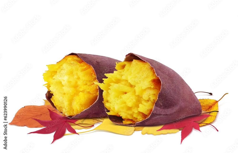 焼き芋と落ち葉のイラスト リアル 焼き芋と落ち葉のイラスト リアル