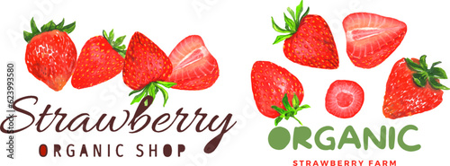 Fototapeta Naklejka Na Ścianę i Meble -  Set of postcards with strawberries. For printing, posters, banners, advertisements, stickers
