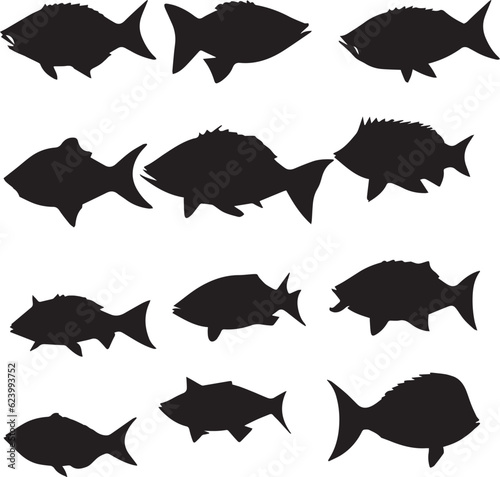 Fish silhouette set in white background