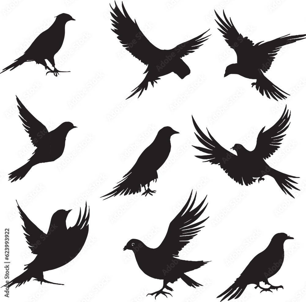 Pigeon silhouette set on white background Pigeon silhouette set on white background