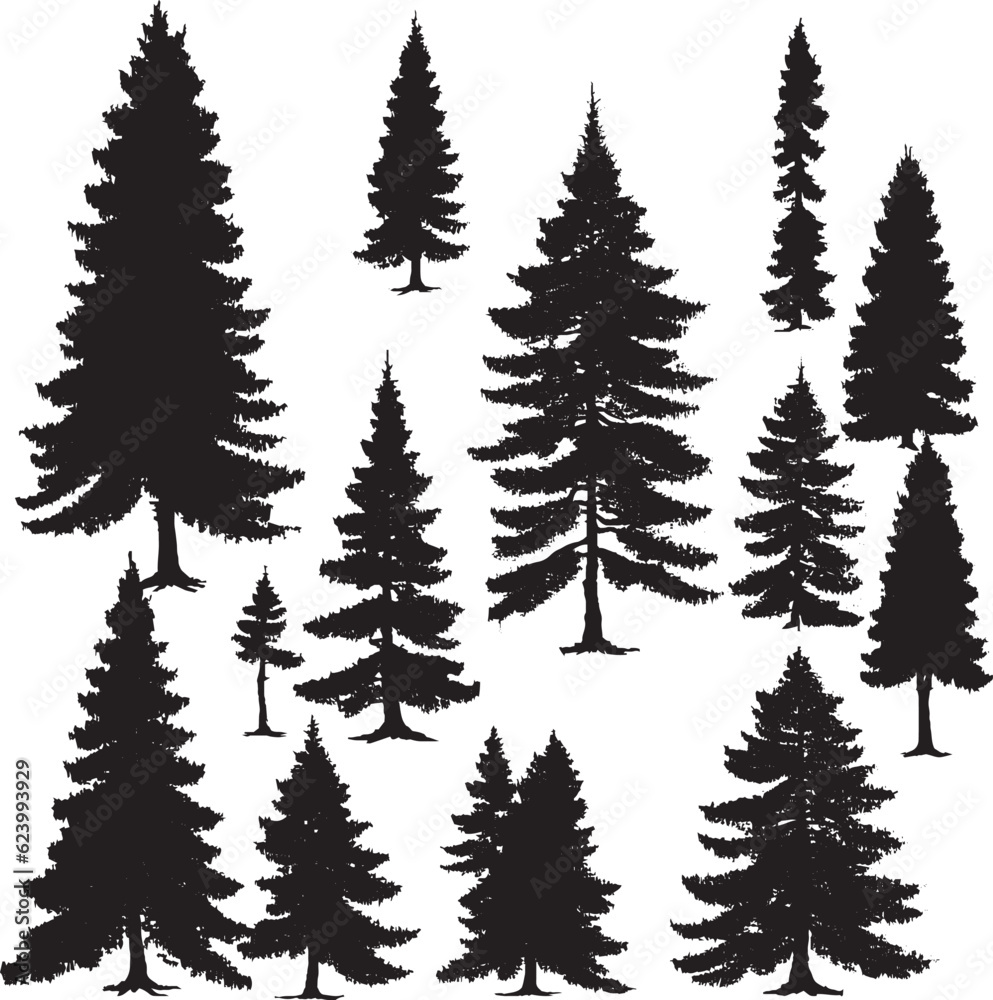 Pine tree silhouette set in white background Pine tree silhouette set in white background