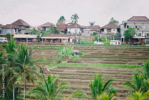 beautiful rice terrace in jatiluwih tabanan bali