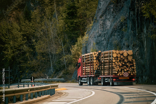 Transportation of timber and firewood on country roads. Transportation in trucks with special semi-trailers of forest logs.