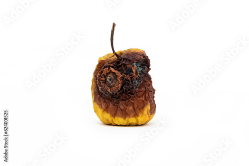 Shriveled rotten withered apple on white photo